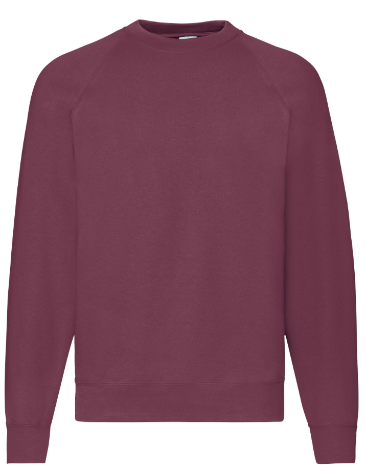 Men's Classic Raglan Sweatshirts Jumpers