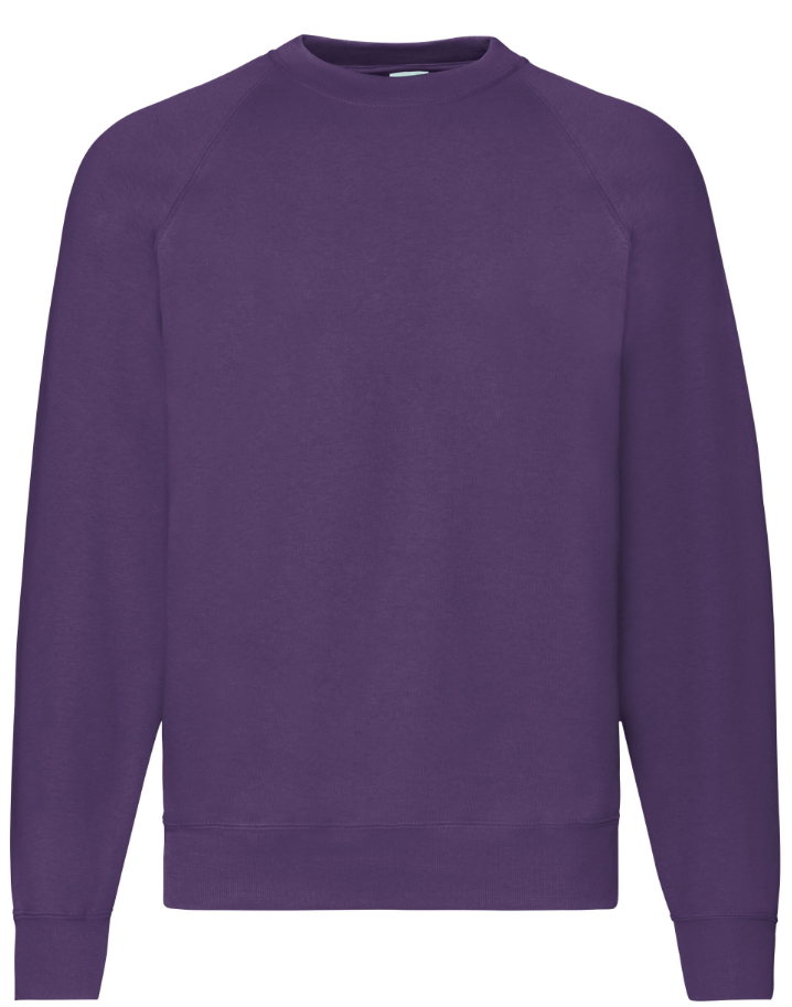 Men's Classic Raglan Sweatshirts Jumpers